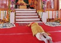 पीएम नरेन्द्र मोदी ने राम मंदिर के लिए भूमि पूजन किया, कहा-नया इतिहास रचा गया